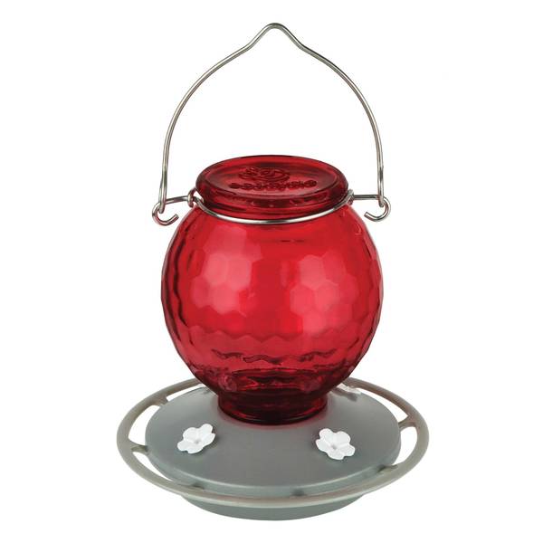 Photo of 16 oz Crimson Comb Glass Hummingbird Feeder