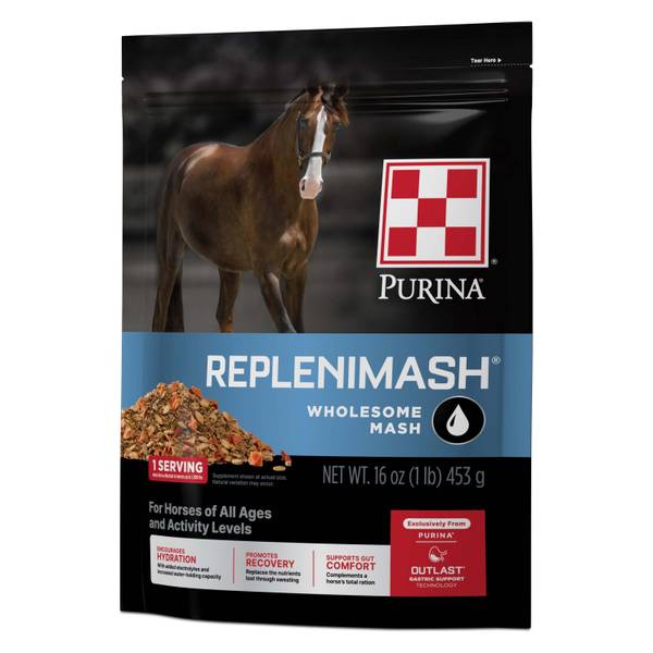 Photo of 7 lb RepleniMash Equine Supplement