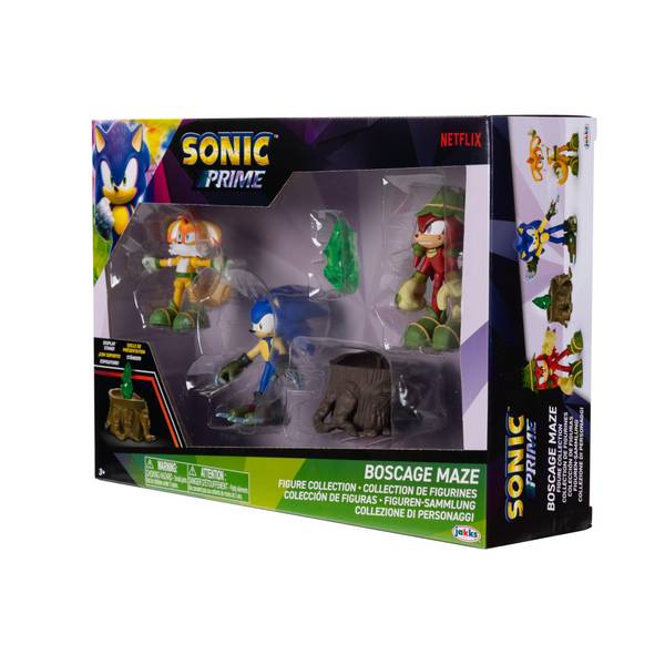 Sonic 2.5