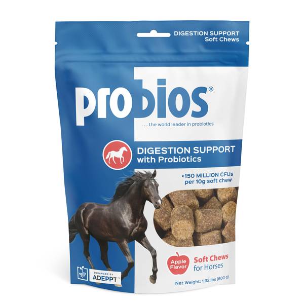Photo of 600g Equine Soft Chews Digestion Support