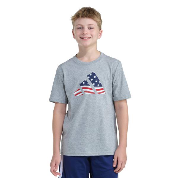 Photo of Boy's Short Sleeve USA Flag Logo Tee