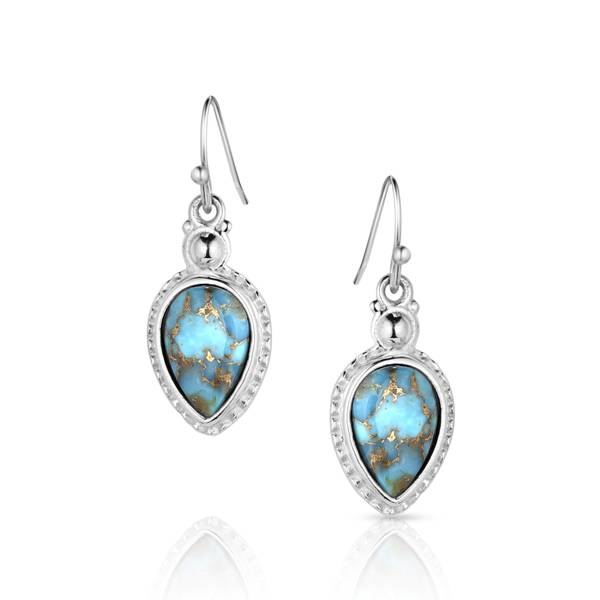 Photo of Expression of the West Turquoise Earrings