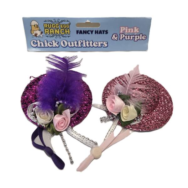 Photo of 2-Pack Fancy Hats