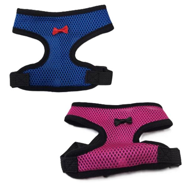Photo of Chicken Harness and Leash Assortment
