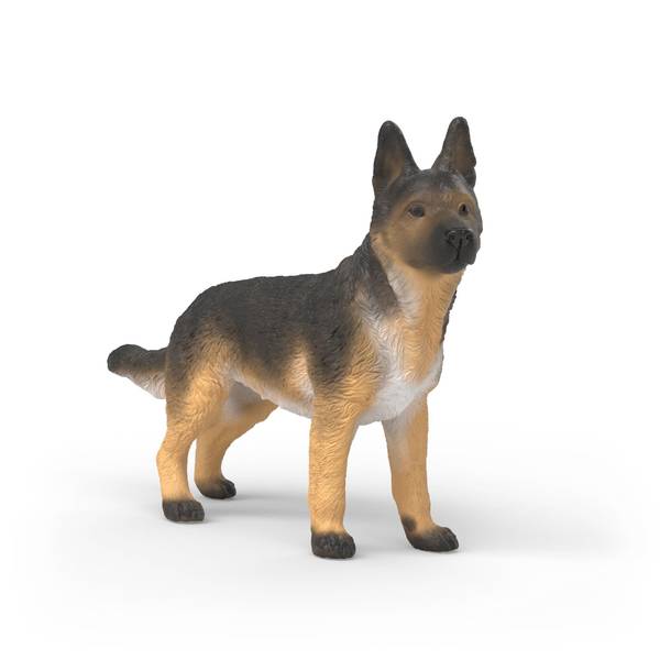 Photo of German Shepherd Dog