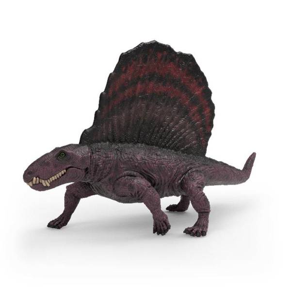 Photo of Dimetrodon