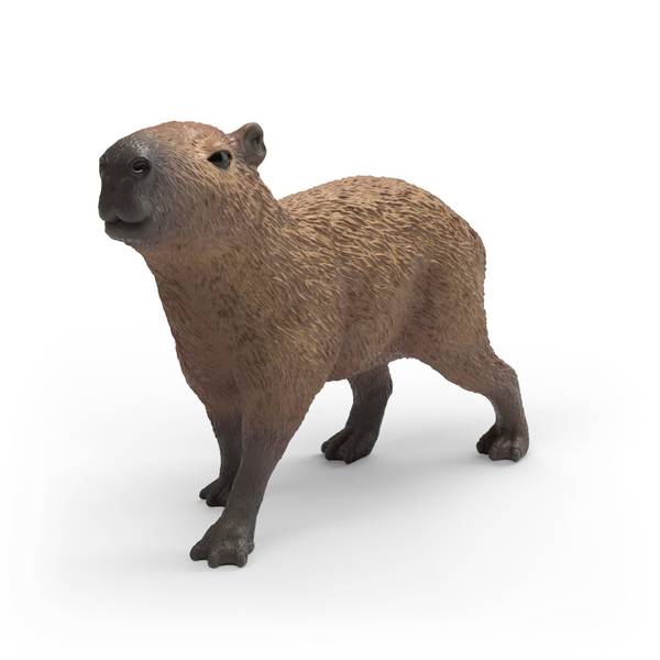 Photo of Capybara
