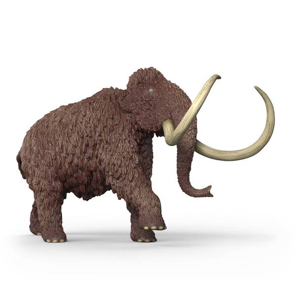 Photo of Mammoth Figurine