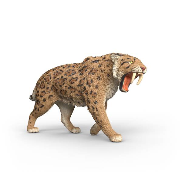 Photo of Smilodon