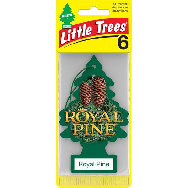 Photo of 6-Pack Royal Pine Tree