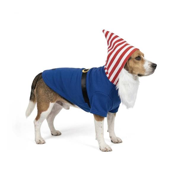 Photo of Gnome Halloween Hoodie