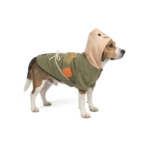 Photo of Scarecrow Halloween Hoodie