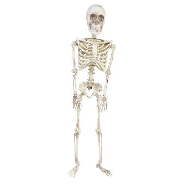 Fun World 36 in. Articulated Skeleton Halloween Decor