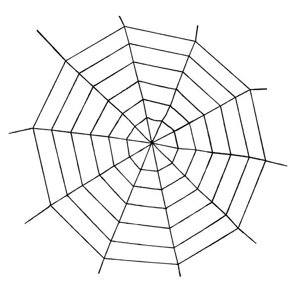 Photos - Other Decoration Easter Unlimited 5' Black Widow Rope Spider Web 8490