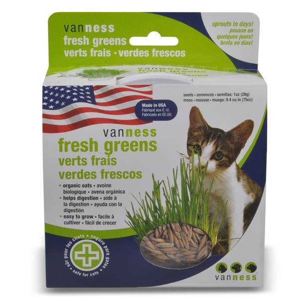Photo of Fresh Greens All Natural Cat Oat Grass Growing Kit
