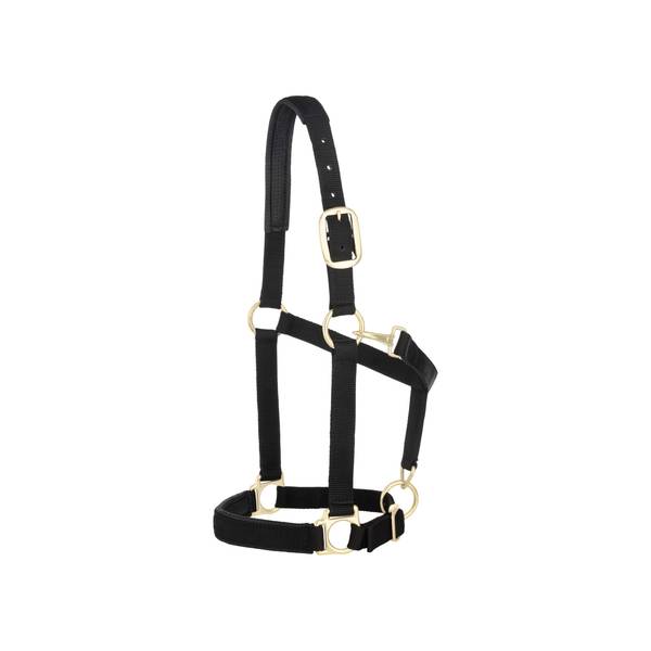 Photo of Padded Adjustable Chin and Throat Snap Halter, 1"