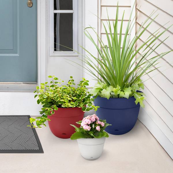 B&W Birch Planter, 8