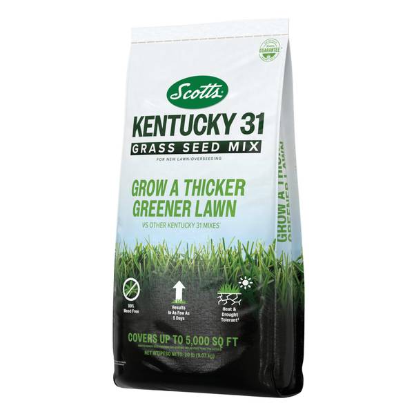 Scotts Kentucky 31 Grass Seed Mix, For New Lawns or Overseeding