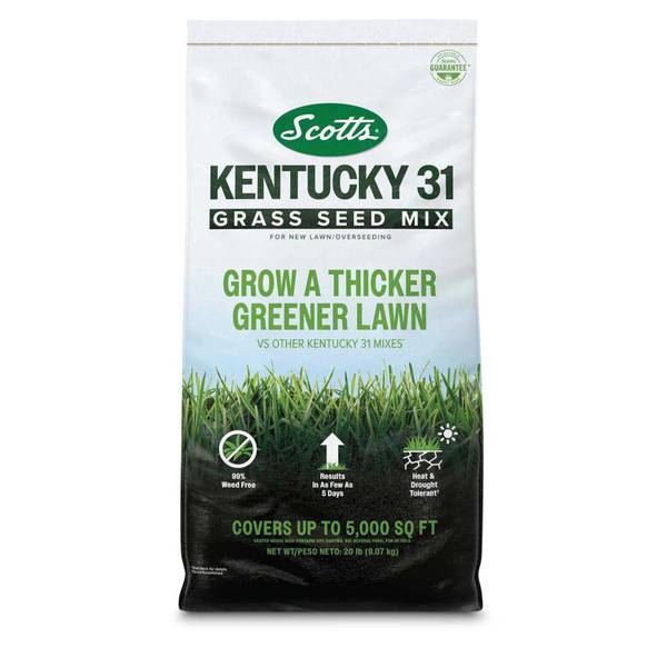 Photo of Kentucky 31 Grass Seed Mix, For New Lawns or Overseeding, 20 lb