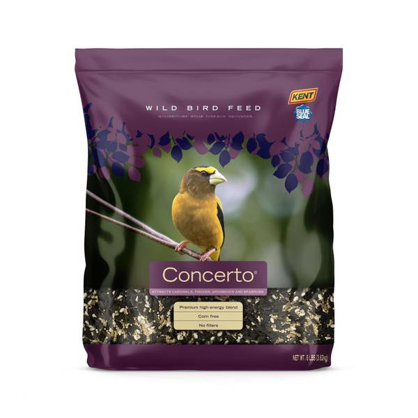 Photo of 8lb Concerto Mix