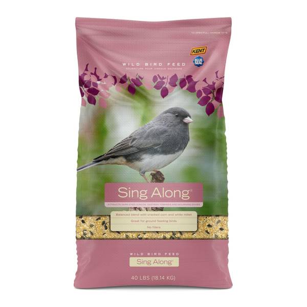 Photo of 40lb Sing Along