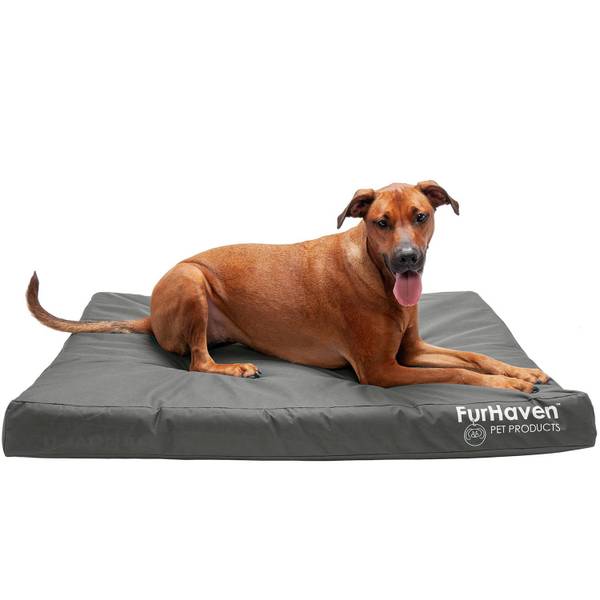 Photo of Jumbo Indoor/Outdoor Deluxe Orthopedic Dog Bed