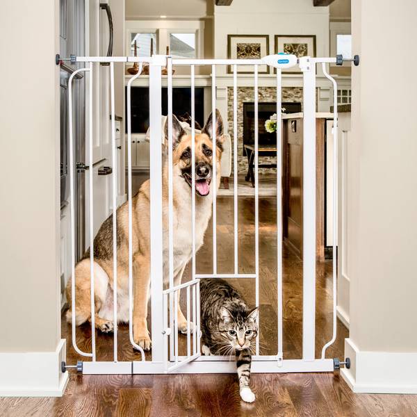 Photo of 41" Extra Tall Walk-Thru Pet Gate with Small Pet Door