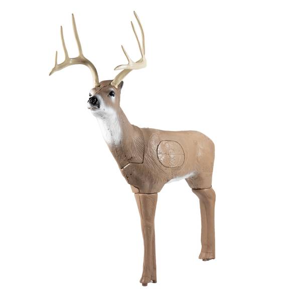 Delta McKenzie Targets Blemished Backyard Challenger Buck Target