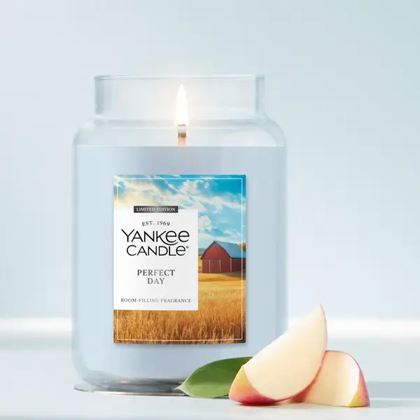 Yankee Candle 22oz Perfect Day Jar Candle - 2671560W | Blain's