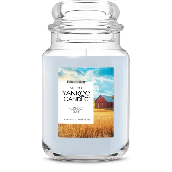 Yankee Candle 22oz Perfect Day Jar Candle - 2671560W | Blain's