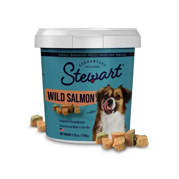 Stewart 2.75oz Wild Salmon Freeze Dried Dog Treats, 2.75 oz