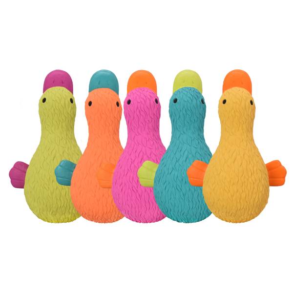 62077 Duckworth Latex Dog Toy, Assorted Color - Medium