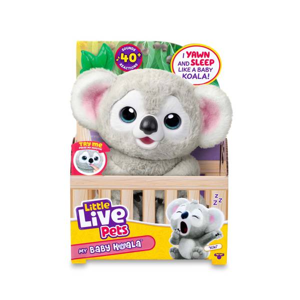 Photo of My Baby Koala