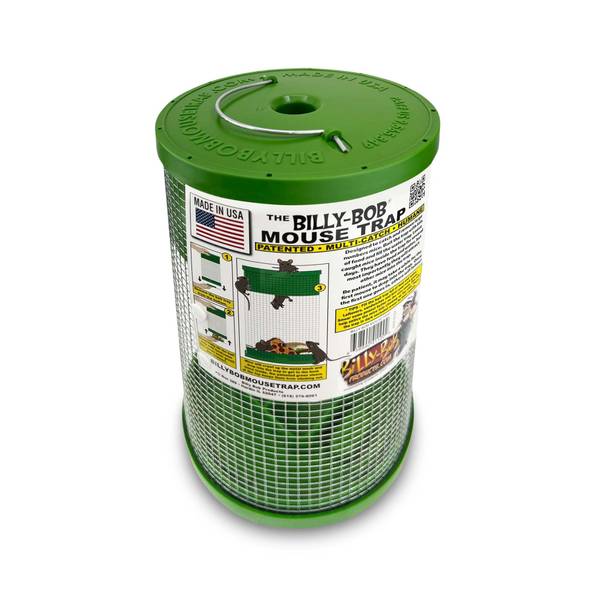 Photo of Multi-Catch Mouse Trap