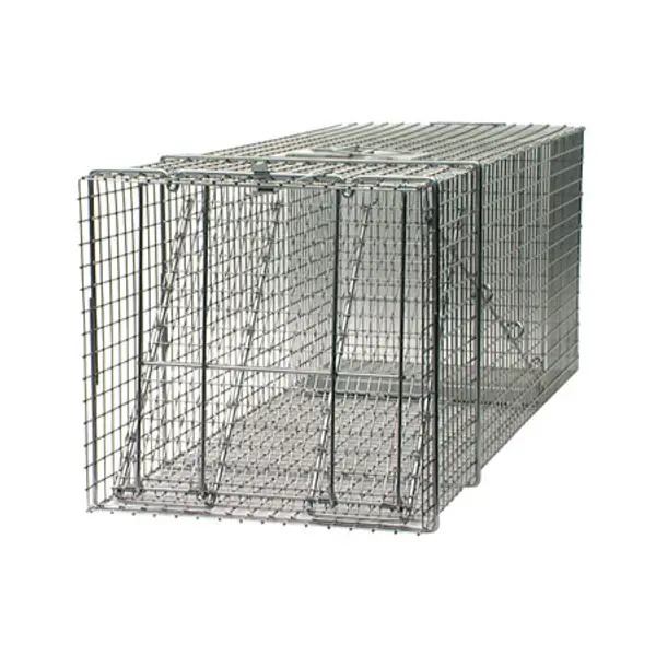 Woodstream Havahart Raccoon Size Humane Live Animal Trap - Feeders Pet  Supply