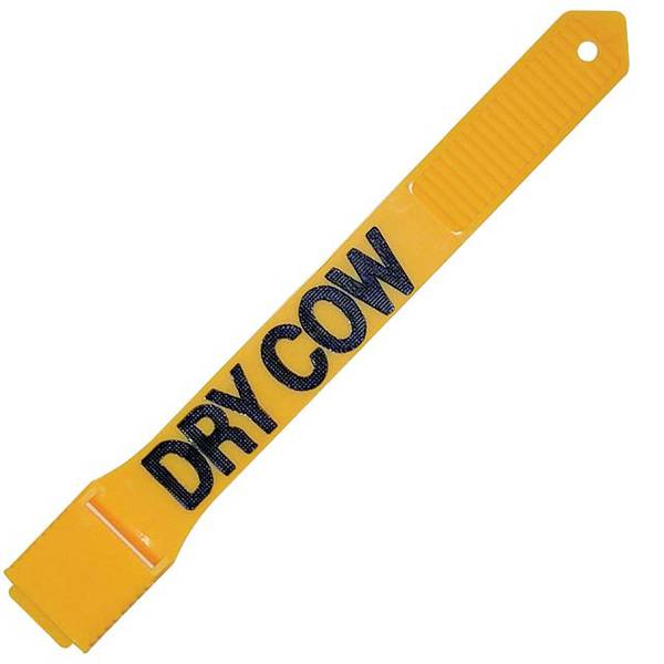 Photo of Yellow Dry Cow Leg Band