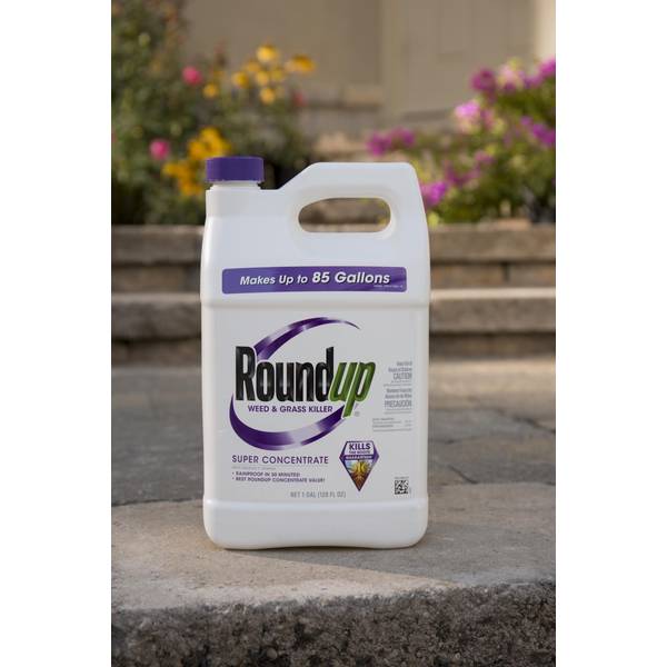 Roundup Super Concentrate Weed & Grass Killer, 1 gal.
