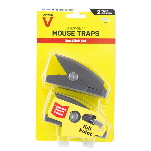 Mouse Traps Humane 2 Pack Trap Set Easy Catch Release Live Indoor