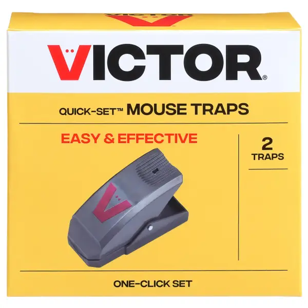 Victor Humane Catch-and-Hold Multiple-Catch No-Touch Outdoor and Indoor Mouse Trap (6-pack)