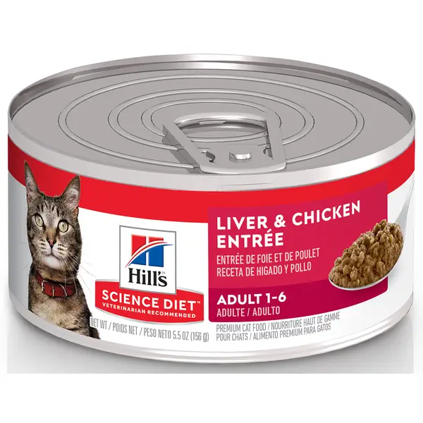 hill's science diet kitten healthy development dry cat food