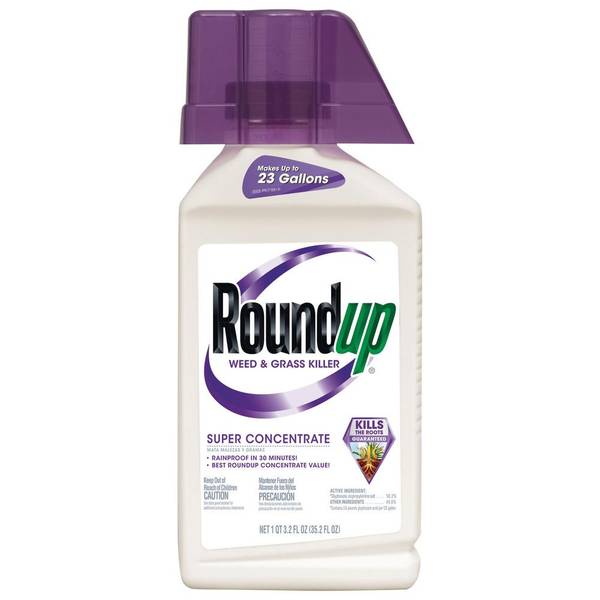 In the Garden: Maximizing the effectiveness of glyphosate