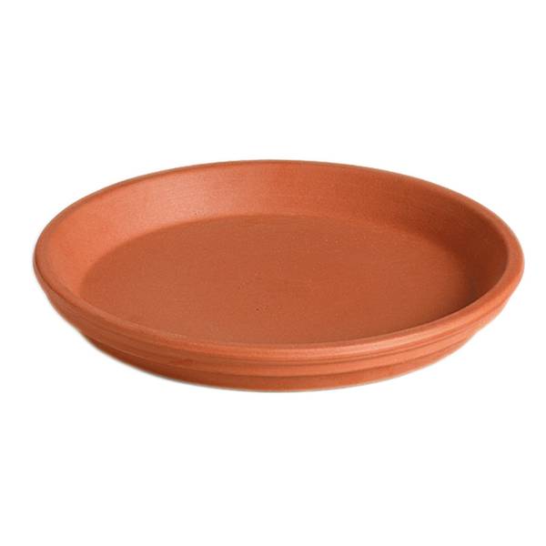 Photo of Terracotta Clay Saucer
