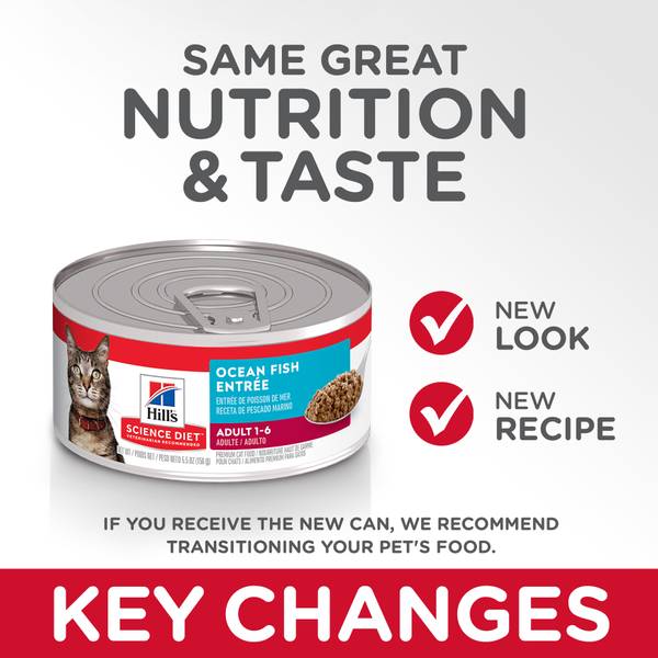 science diet ocean fish entree