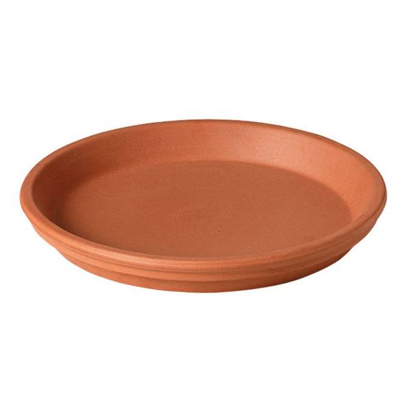 Photo of Terracotta Clay Saucer