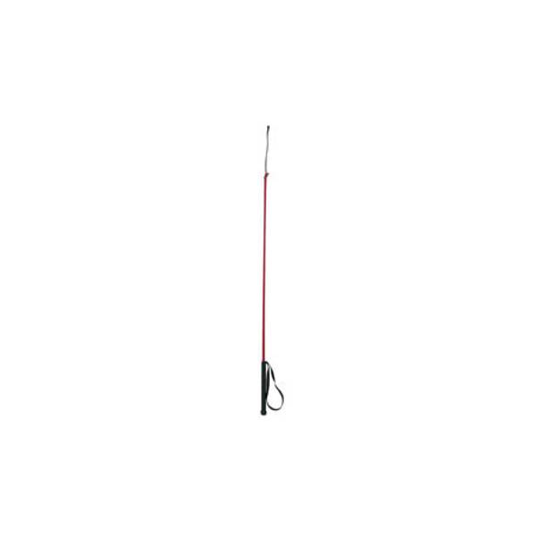 Photo of Riding Whip