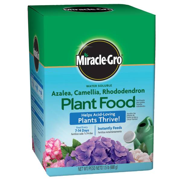 Miracle-Gro Water Soluble Azalea, Camellia, Rhododendron Plant