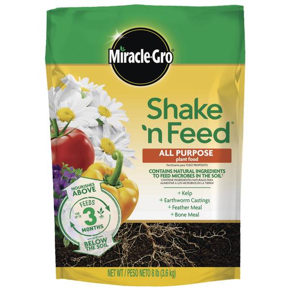 How To Use Shake And Feed Plant Food at Brittany Stearns blog