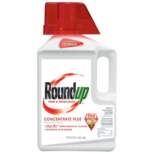 Roundup Weed & Grass Killer Concentrate Plus, 1/2 gal 5006010 Blain