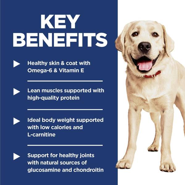 l carnitine for dogs benefits Hill's Science Diet Adult Light Large Breed Dry Dog Food with Chicken Meal & Barley, Low-Calorie Nutrition - 603940 igf 1 lr3 local Container:Bags teens