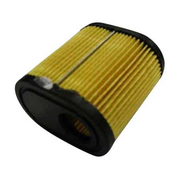 Photo of Lawn Mower Air Filter